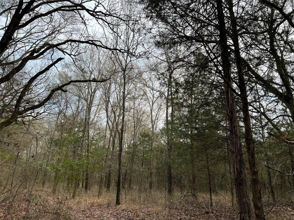 0 Cr 316 Road Property Photo 3