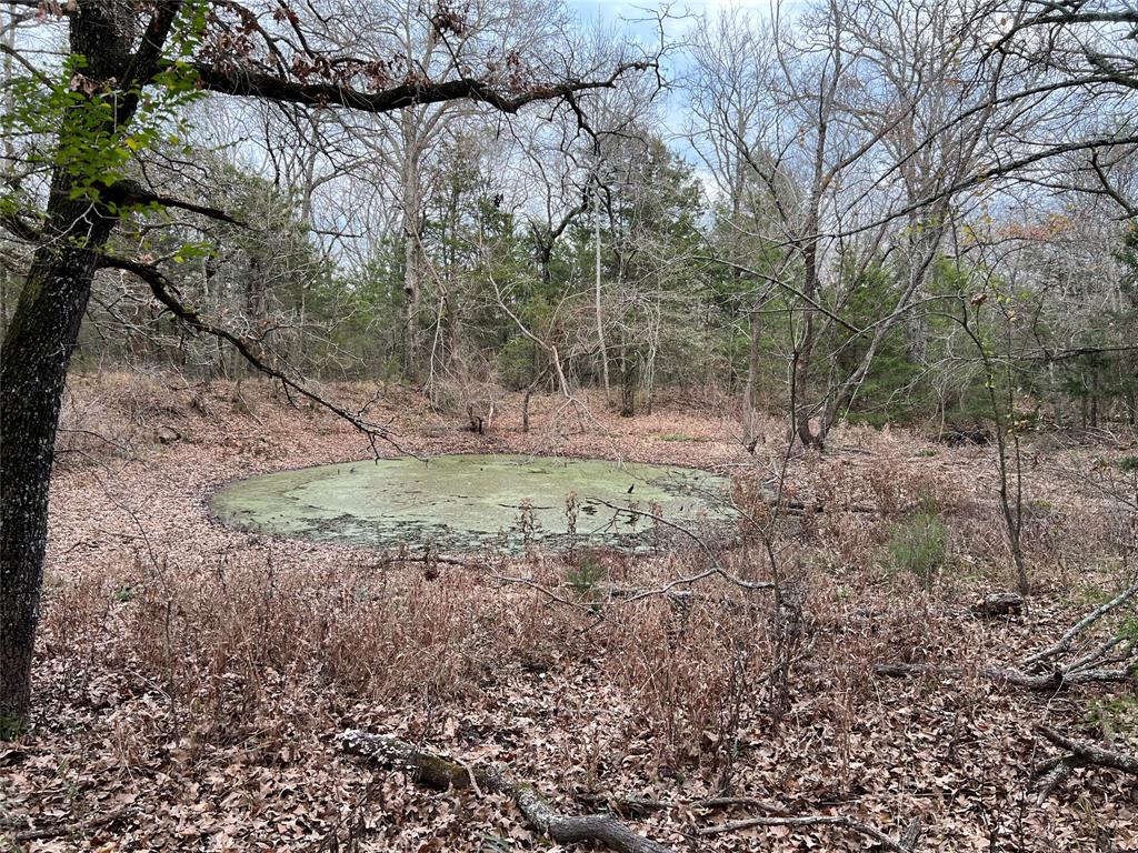 0 Cr 316 Road Property Photo 4