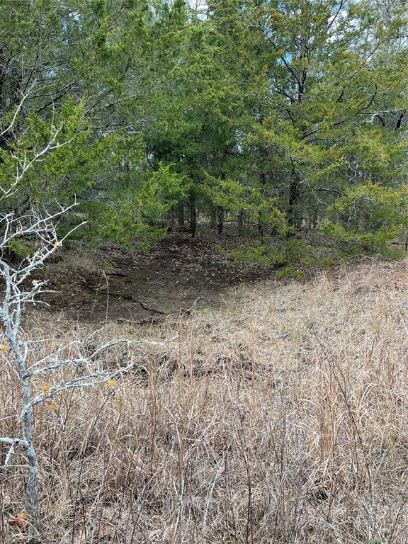 0 Cr 316 Road Property Photo 5