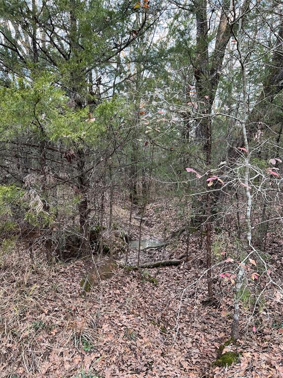 0 Cr 316 Road Property Photo 6