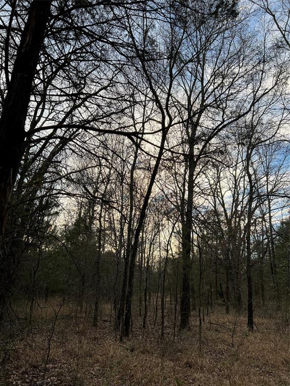 0 Cr 316 Road Property Photo 7
