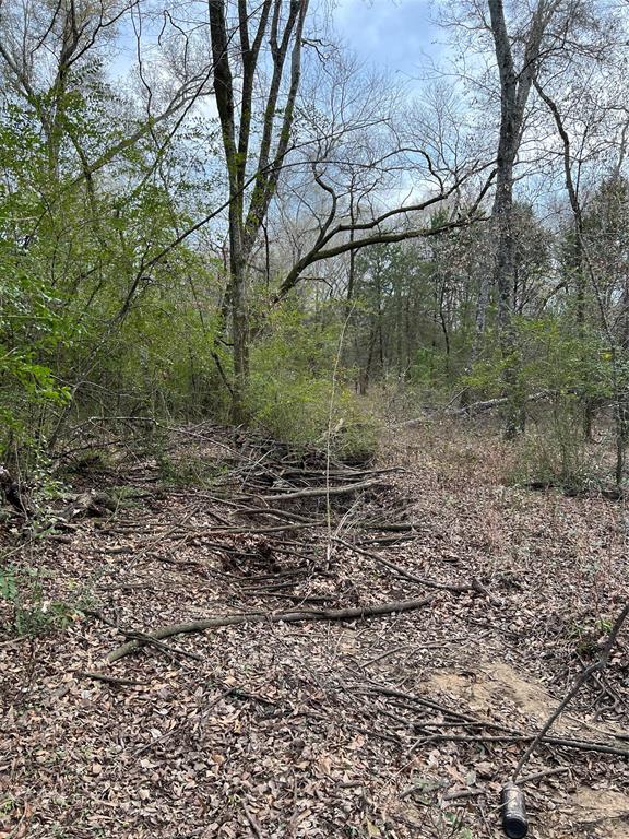 0 Cr 316 Road Property Photo 8