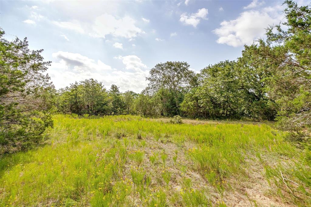 1258 County Road 2960 Property Photo 24
