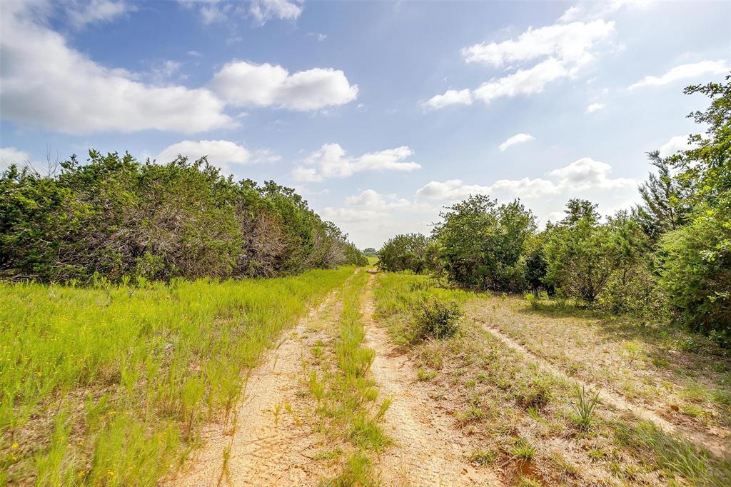 1258 County Road 2960 Property Photo 25