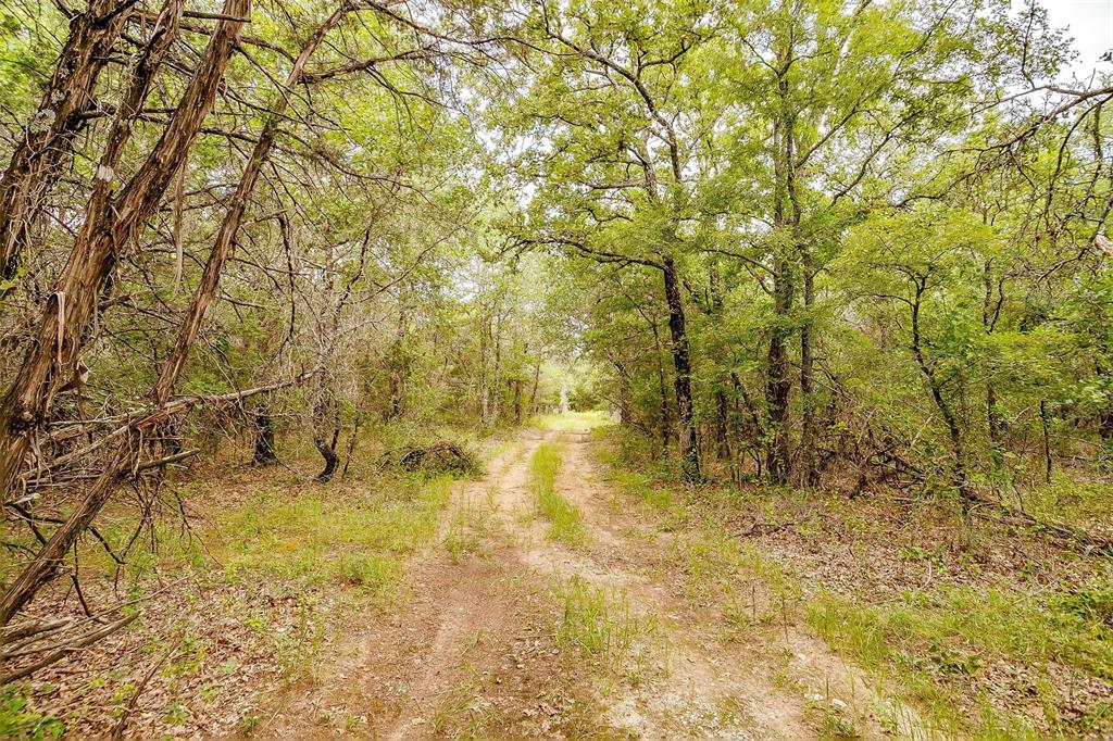 1258 County Road 2960 Property Photo 36
