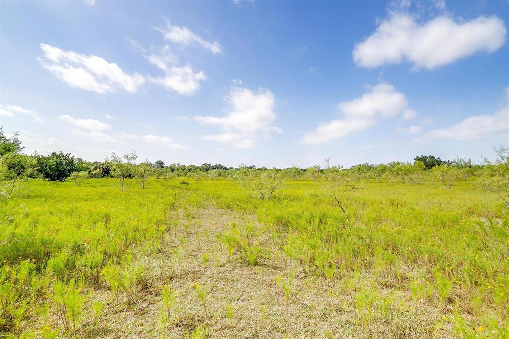 1258 County Road 2960 Property Photo 38