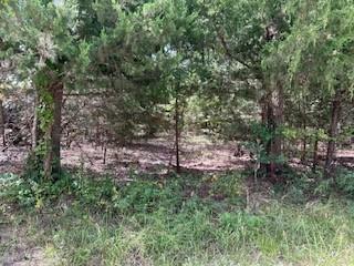 Tbd Bass Lane Property Photo 3