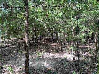 Tbd Bass Lane Property Photo 4