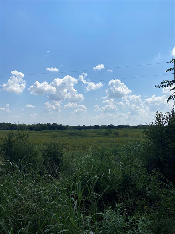 Tbd County Road 703a Property Photo 13