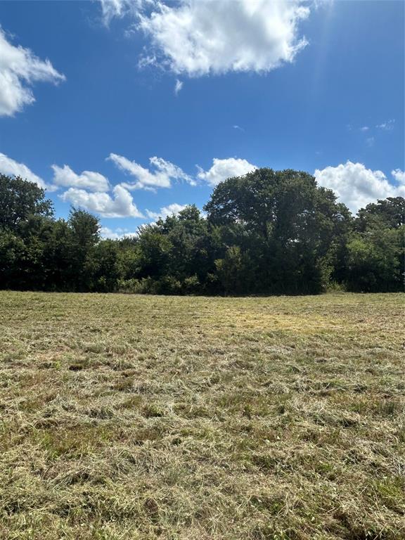 Tbd County Road 703a Property Photo 16