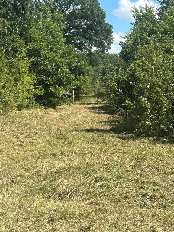 Tbd County Road 703a Property Photo 17