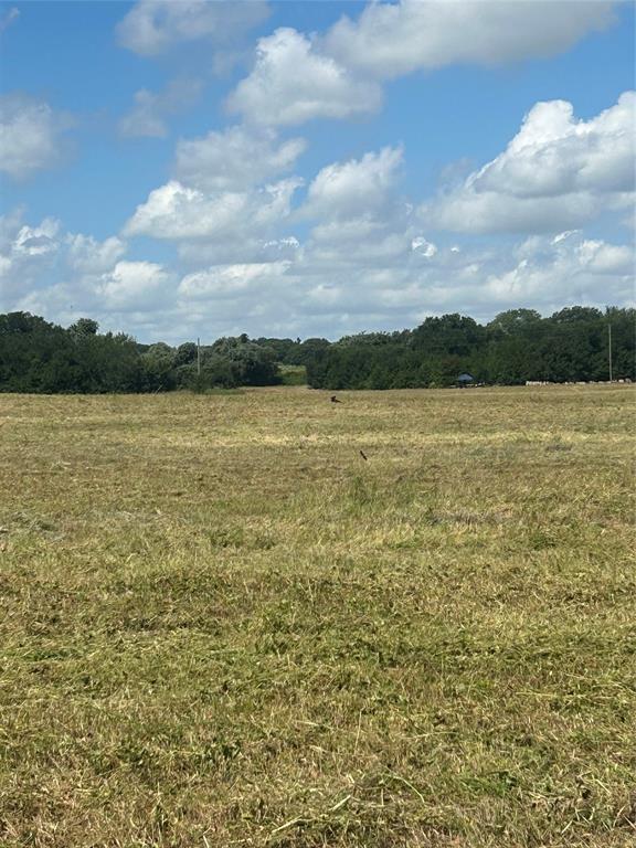 Tbd County Road 703a Property Photo 20