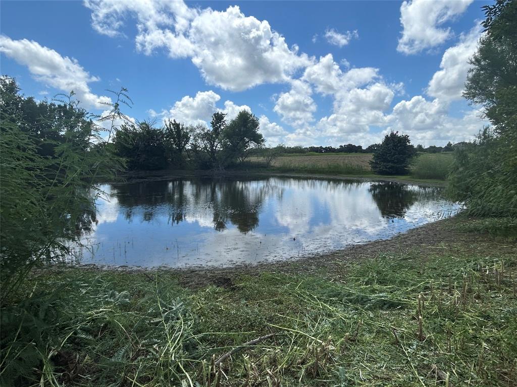 Tbd County Road 703a Property Photo 22