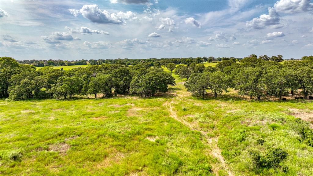 11500 Bowden Road Property Photo 8