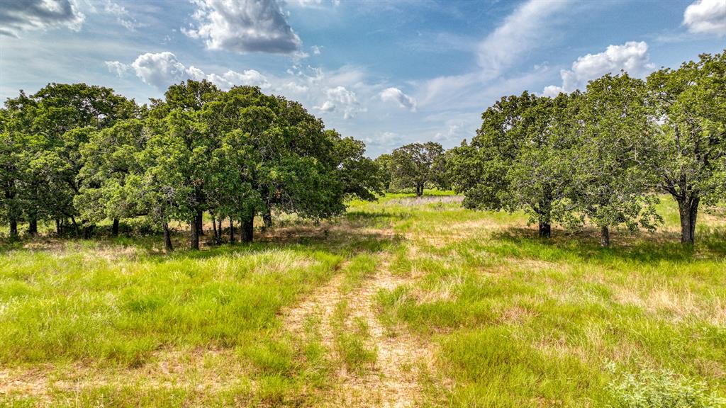 11500 Bowden Road Property Photo 10