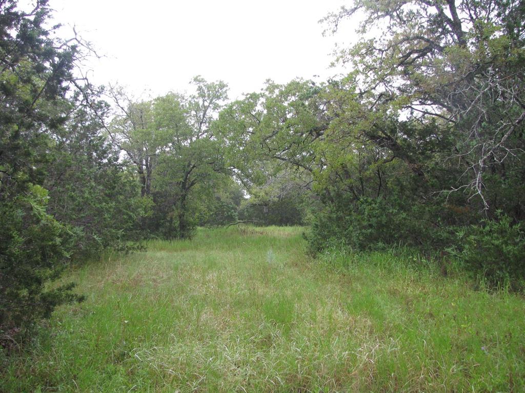 Tbd Pr 1002 Property Photo 5