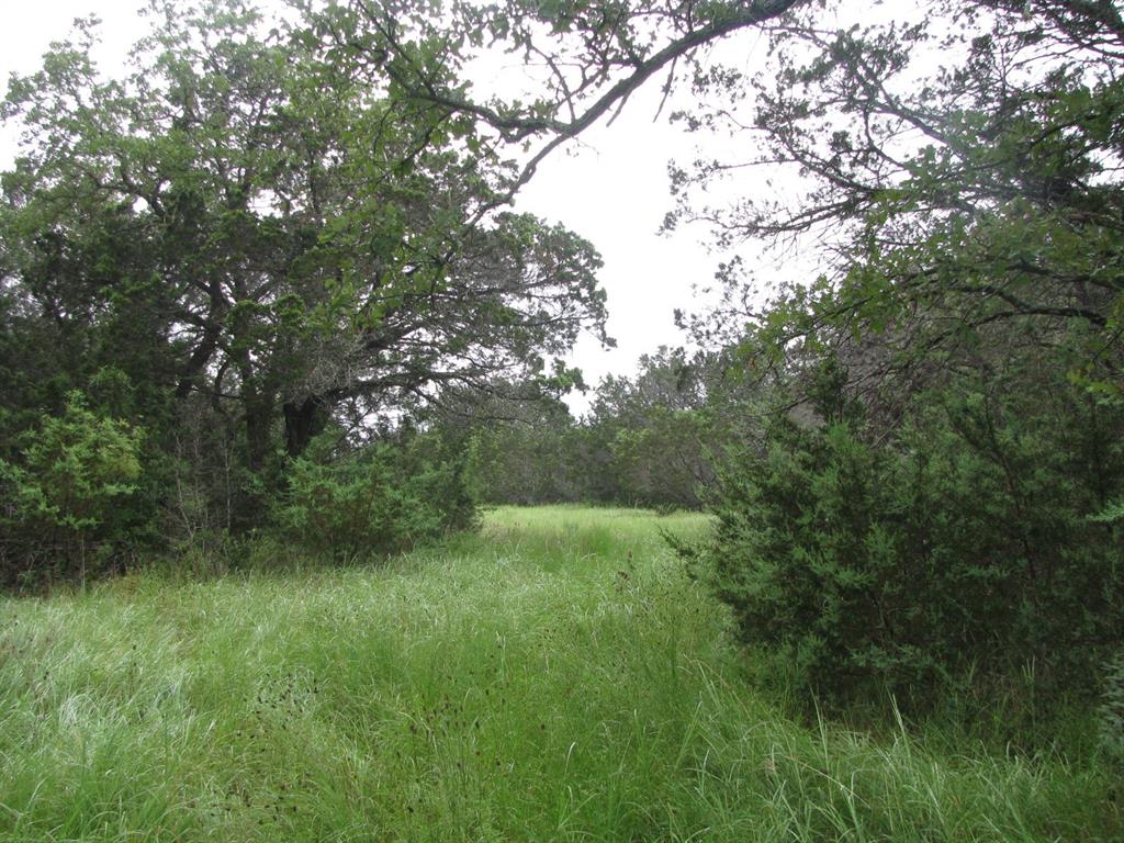 Tbd Pr 1002 Property Photo 7