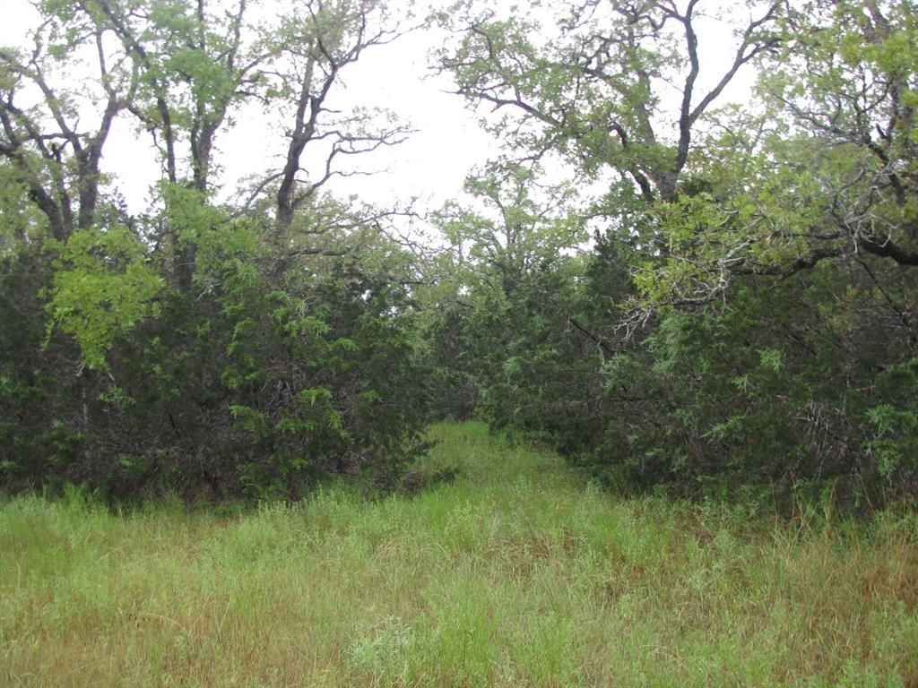 Tbd Pr 1002 Property Photo 12