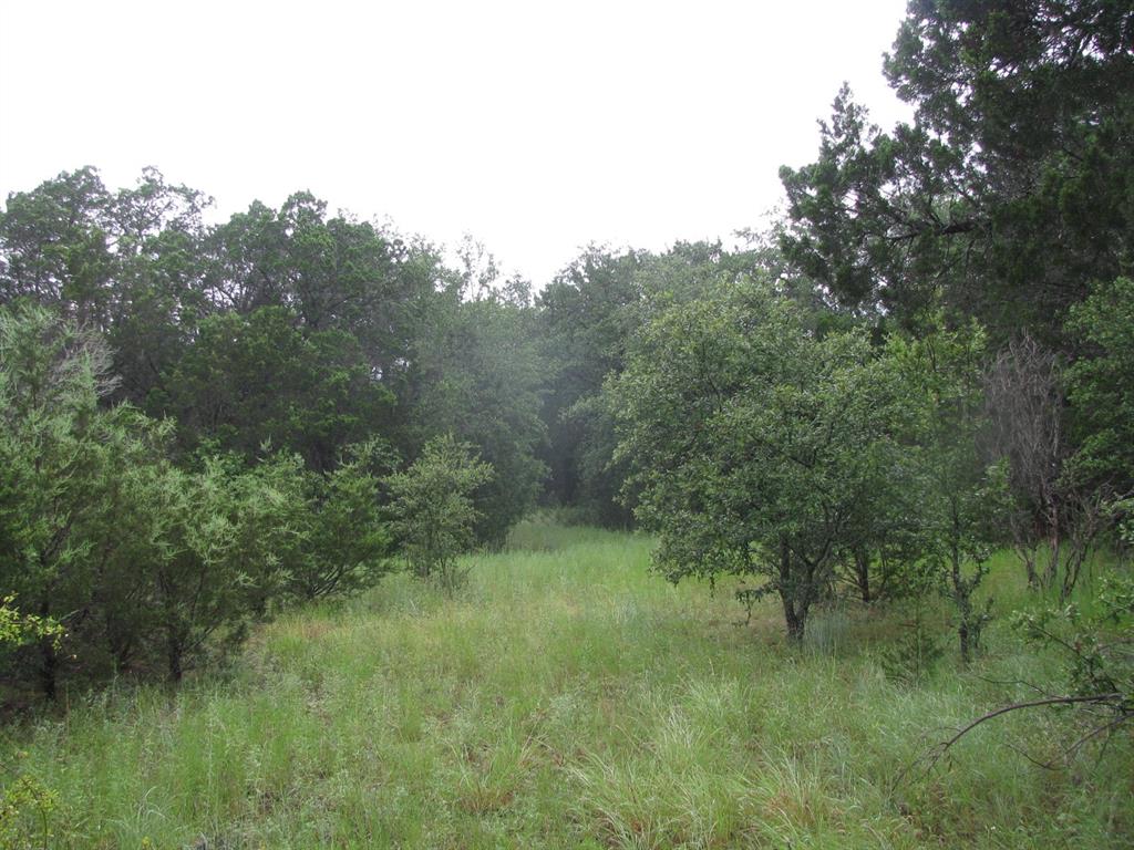 Tbd Pr 1002 Property Photo 16