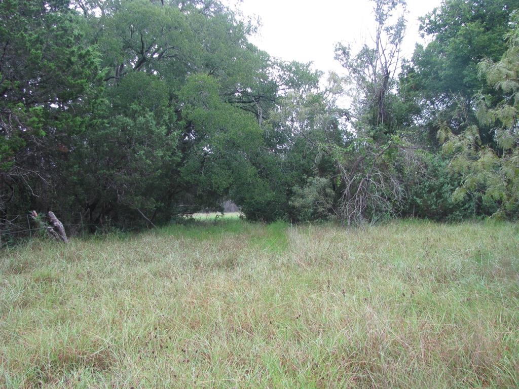 Tbd Pr 1002 Property Photo 27