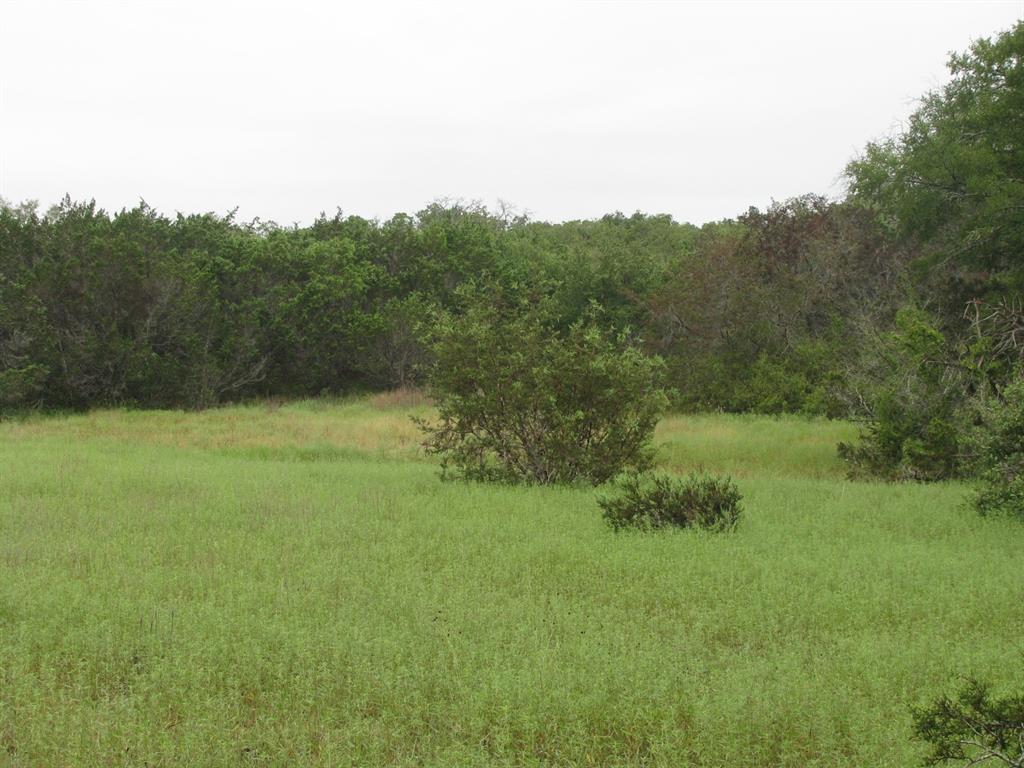 Tbd Pr 1002 Property Photo 31