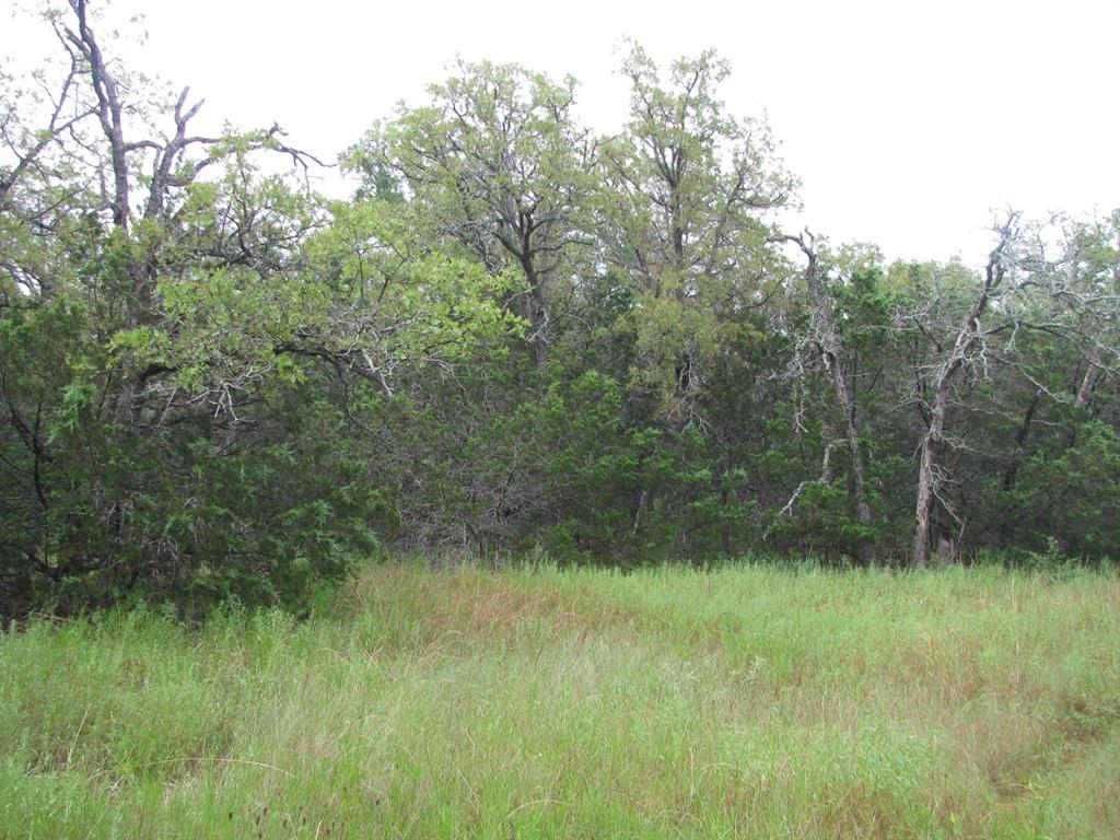 Tbd Pr 1002 Property Photo 32