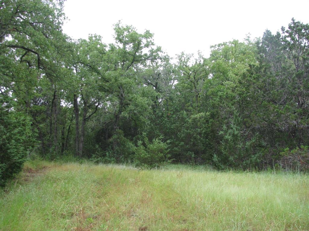 Tbd Pr 1002 Property Photo 33