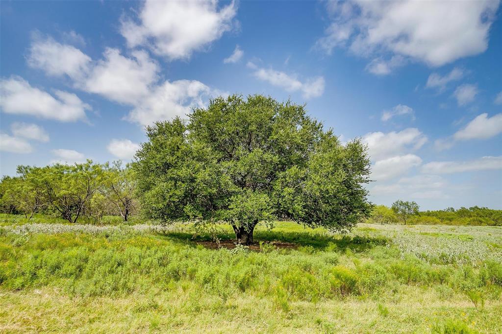20488 Fm 56 Property Photo 20