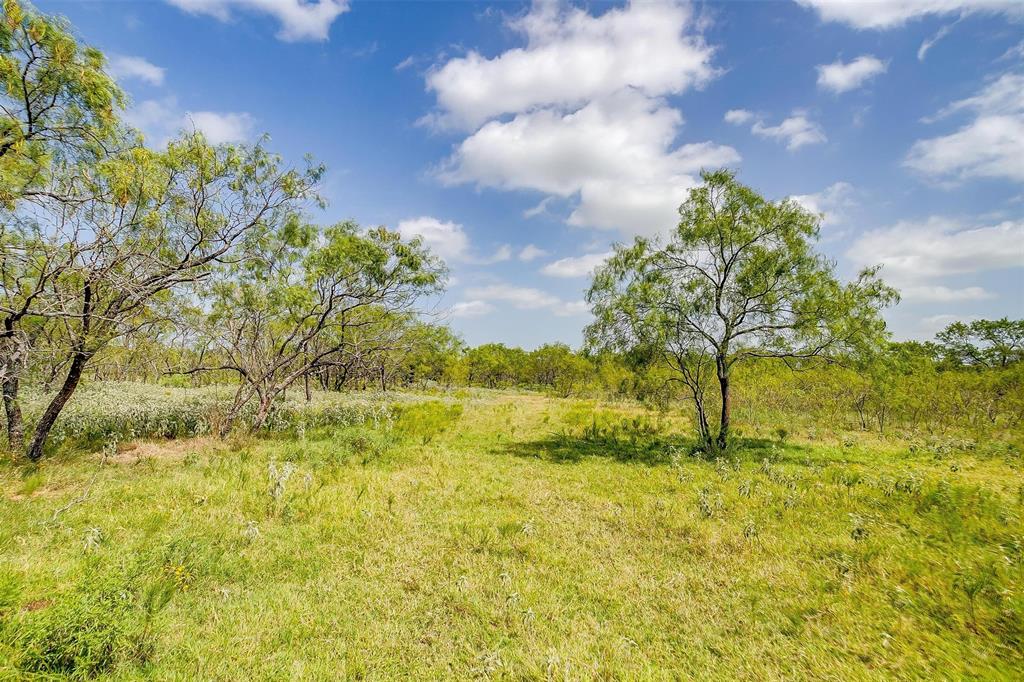 20488 Fm 56 Property Photo 23