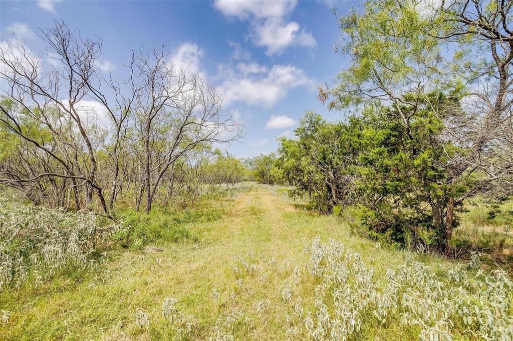 20488 Fm 56 Property Photo 24