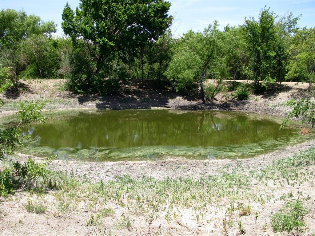 Tbd County Road 404 Property Photo 2