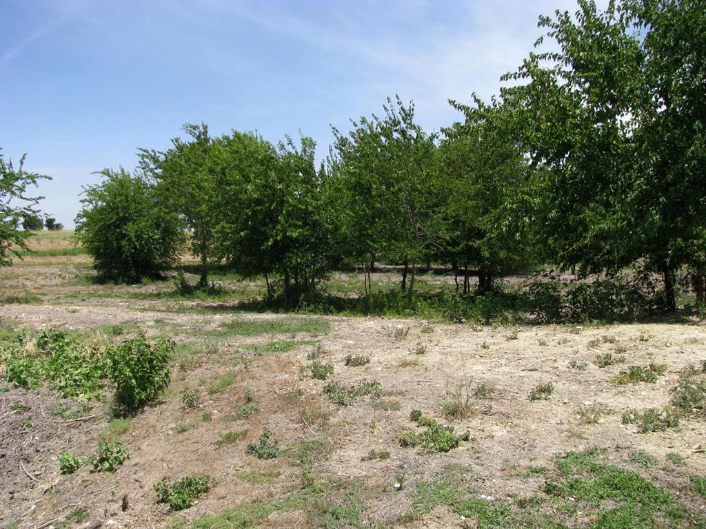 Tbd County Road 404 Property Photo 4