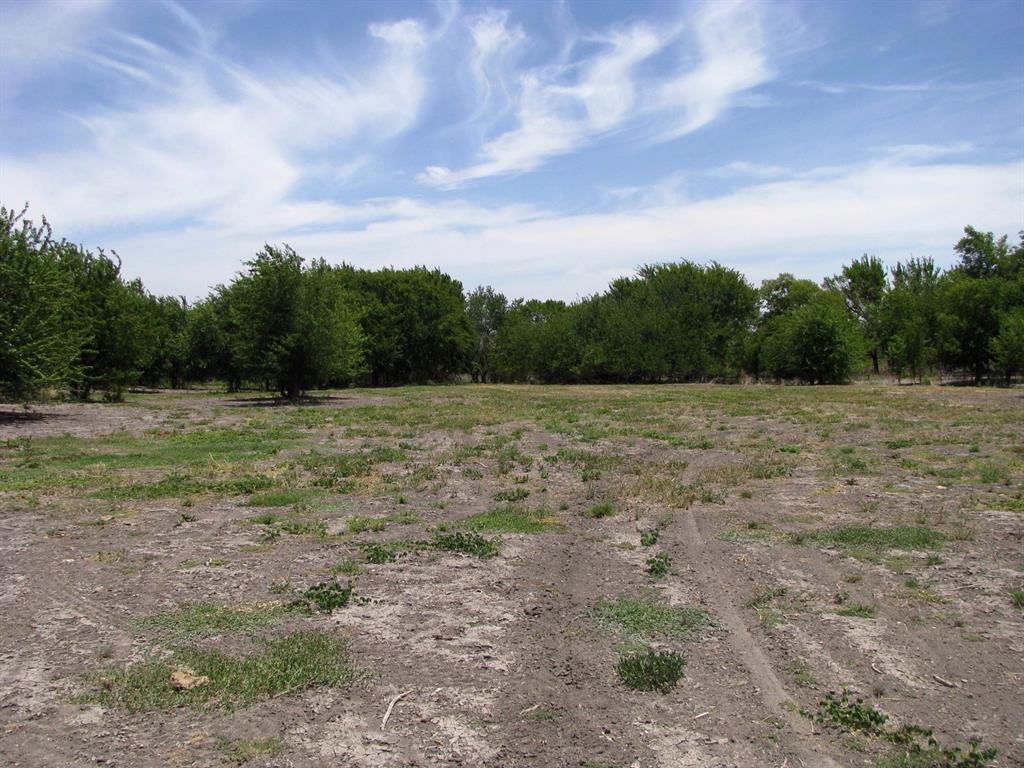 Tbd County Road 404 Property Photo 7