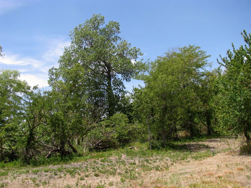Tbd County Road 404 Property Photo 12