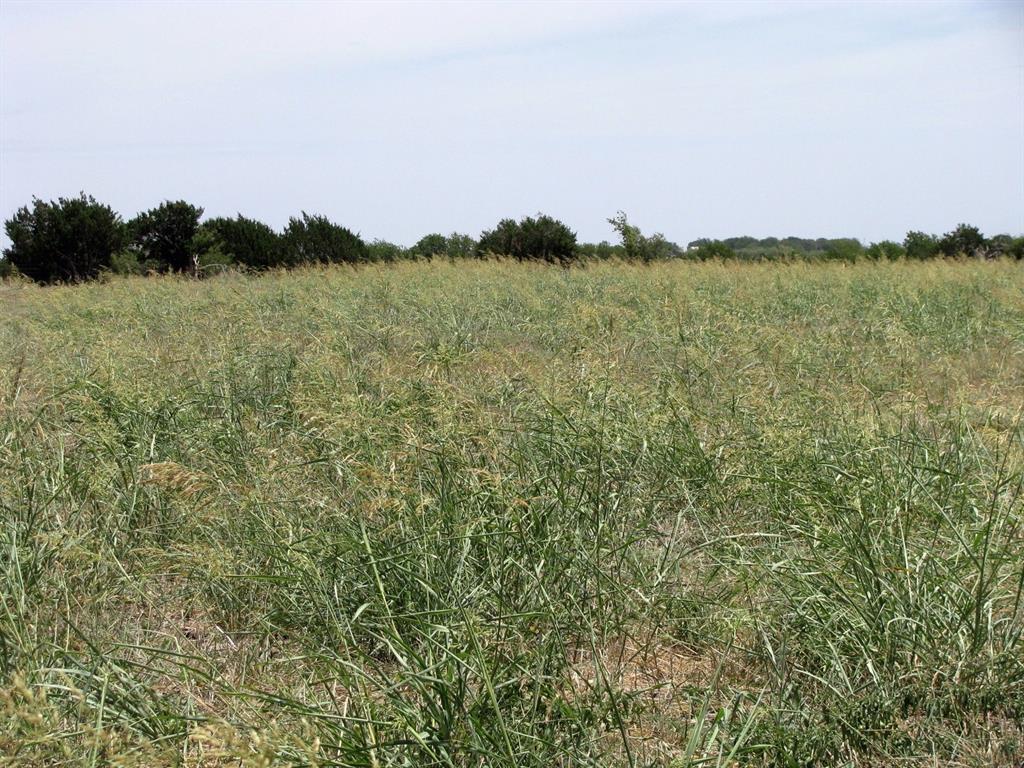 Tbd County Road 404 Property Photo 14