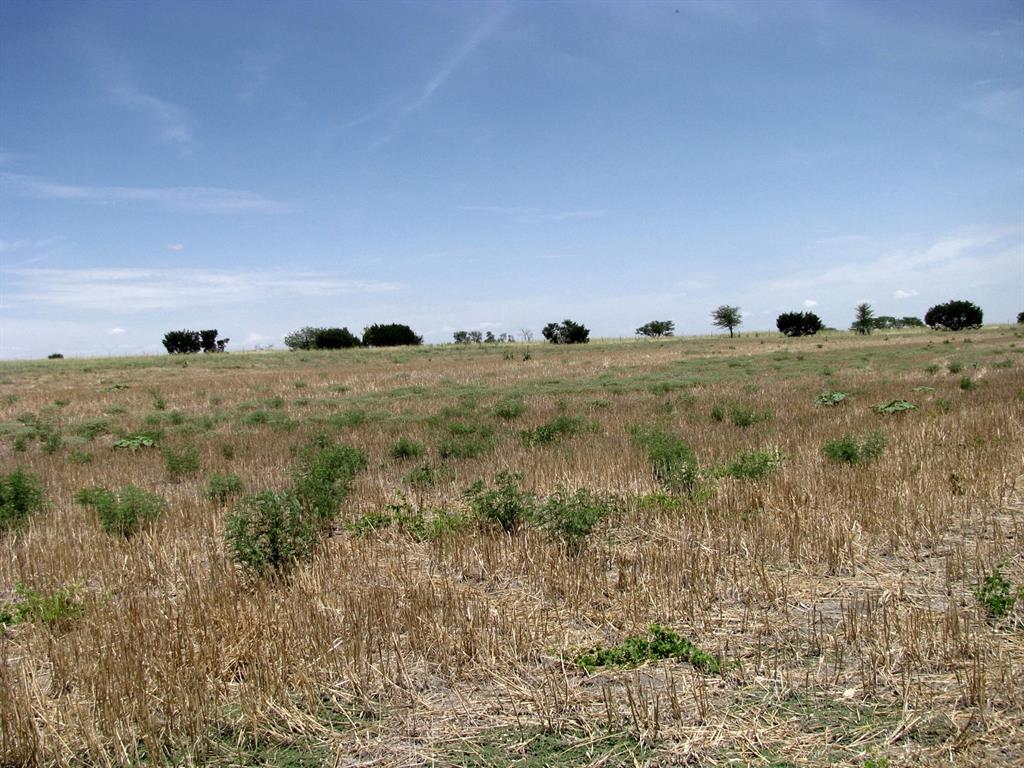 Tbd County Road 404 Property Photo 19