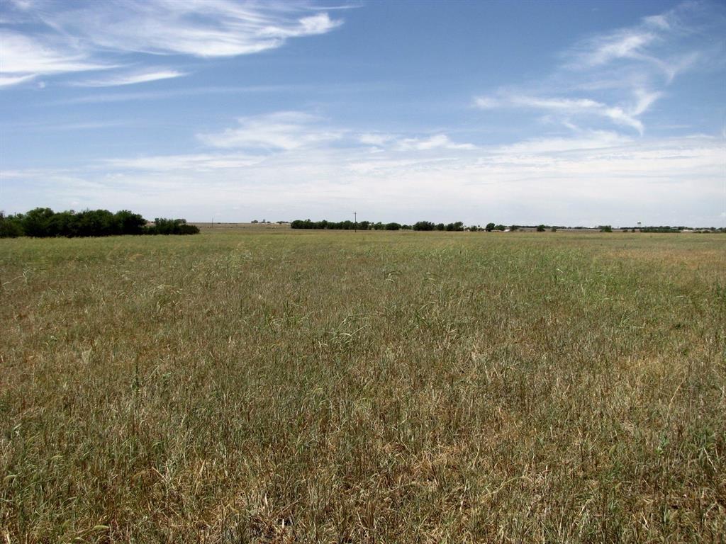 Tbd County Road 404 Property Photo 20