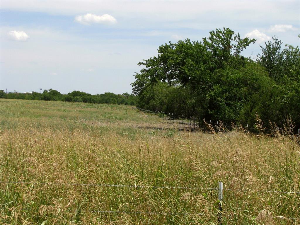 Tbd County Road 404 Property Photo 21