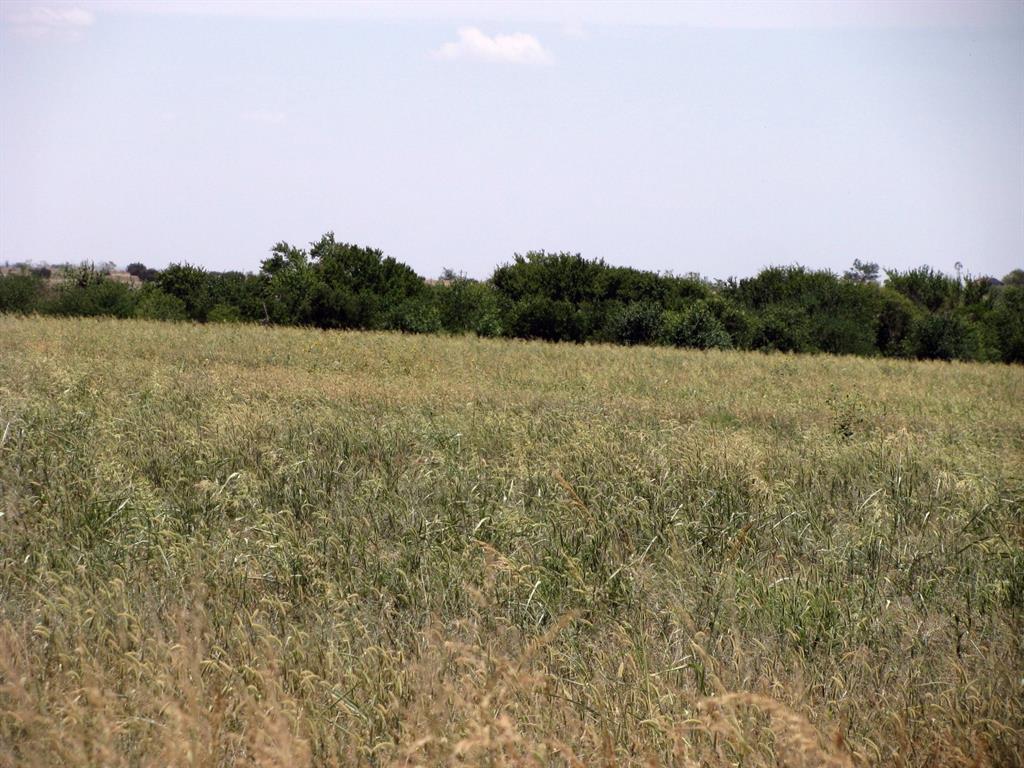 Tbd County Road 404 Property Photo 23