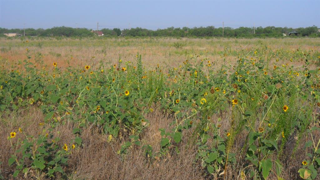 Tbd Fm1750 Fm 1750 Property Photo 2