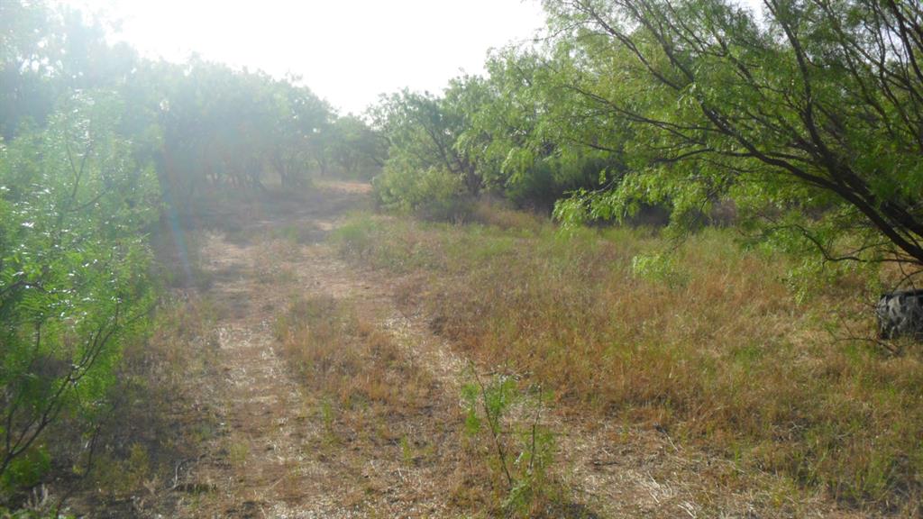 Tbd Fm1750 Fm 1750 Property Photo 4