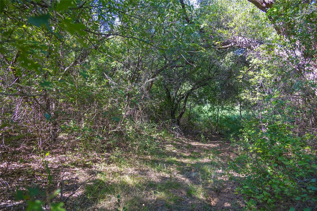 2029 Lot 2 Highway 183 Property Photo 14