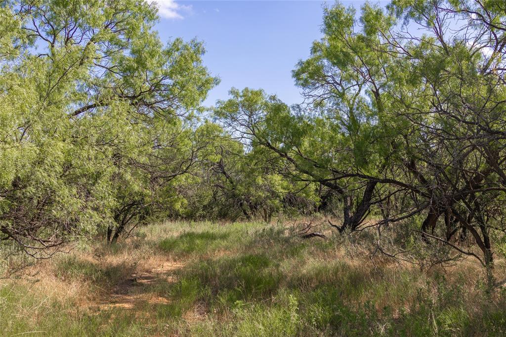 2029 Lot 2 Highway 183 Property Photo 22