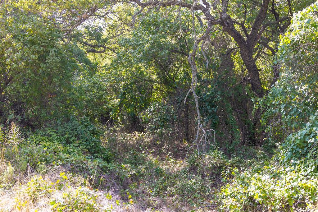 2029 Lot 2 Highway 183 Property Photo 24