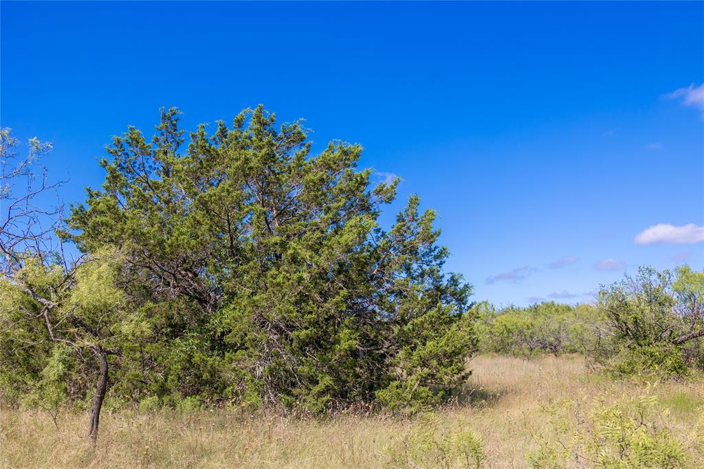2029 Lot 2 Highway 183 Property Photo 28