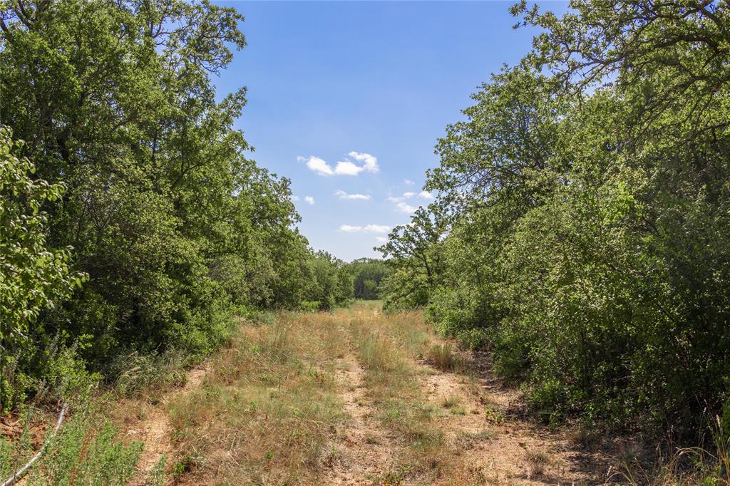 2029 Lot 2 Highway 183 Property Photo 31