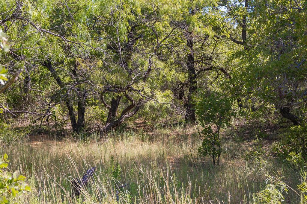 2029 Lot 2 Highway 183 Property Photo 33