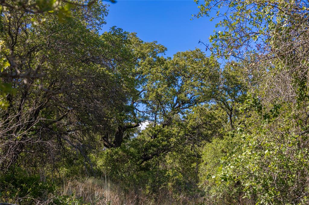 2029 Lot 2 Highway 183 Property Photo 36