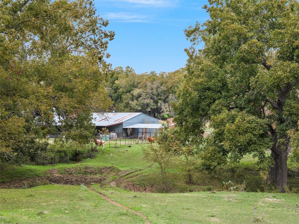 837 Hcr 2421 Property Photo 4