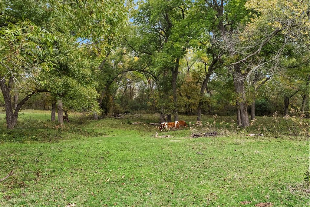 837 Hcr 2421 Property Photo 29